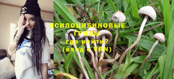 шишки Аркадак