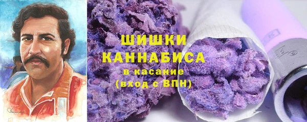 шишки Аркадак